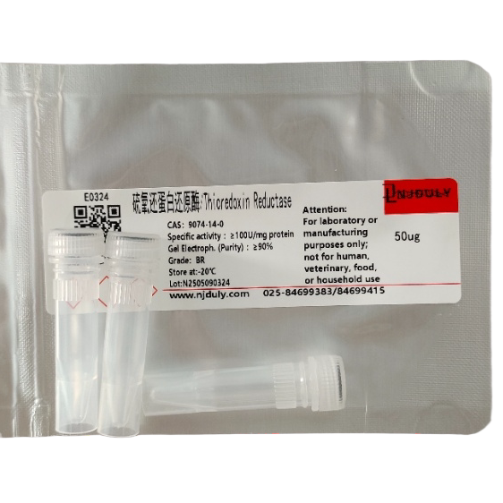 硫氧还蛋白还原酶