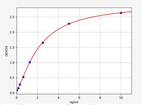 人基质金属蛋白酶28(MMP28)ELISA试剂盒 YB71977Hu