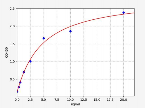 人辅肌动蛋白α2(ACTN2)ELISA试剂盒 YB72071Hu