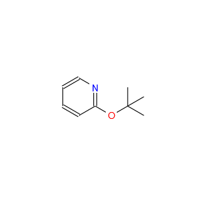 2-(叔丁氧基)吡啶  2-(tert-butoxy)pyridine  83766-88-5