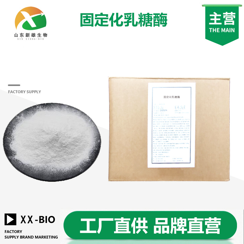 固定化乳糖酶厂家