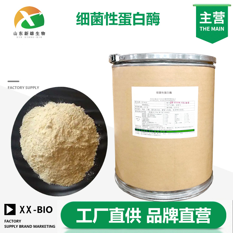 细菌性蛋白酶厂家