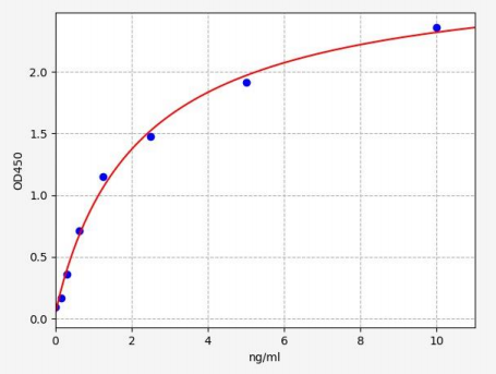 人自噬相关蛋白3(ATG3)ELISA试剂盒 YB72203Hu