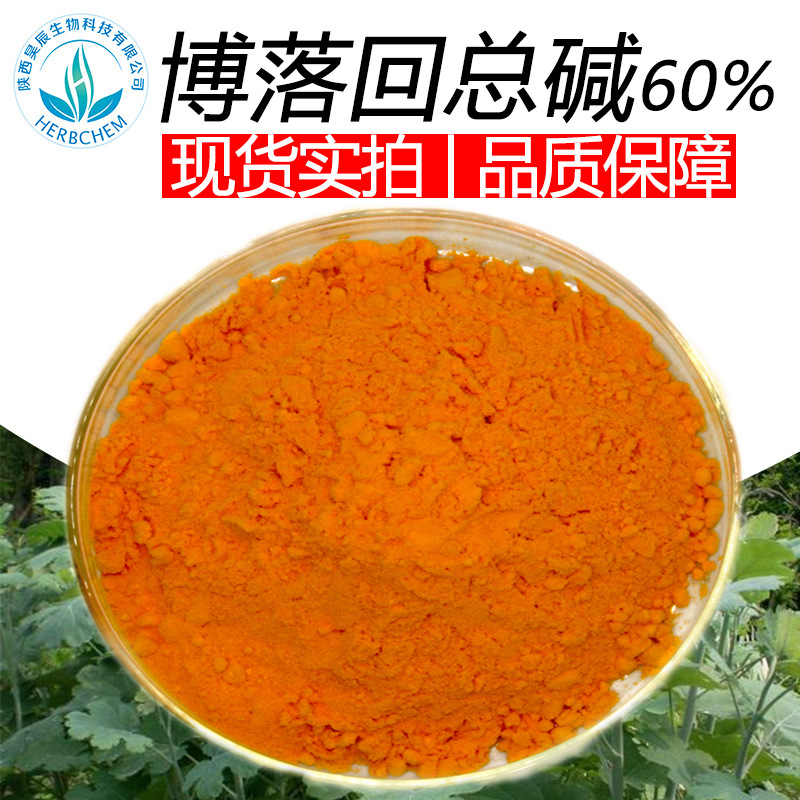 博落回总碱60%血根碱40%白屈菜红碱20%博落回提取物