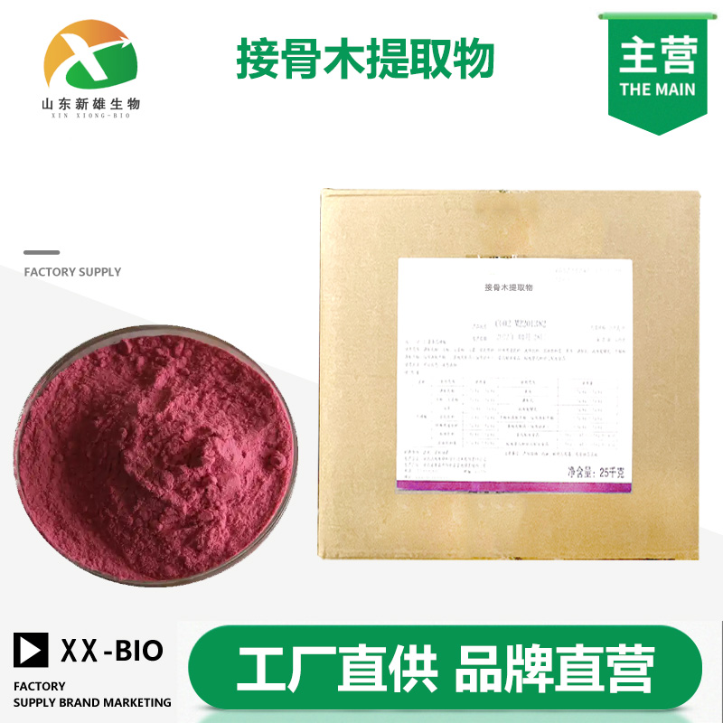 接骨木提取物厂家