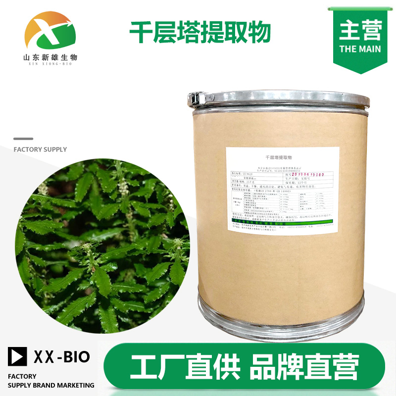 千层塔提取物厂家