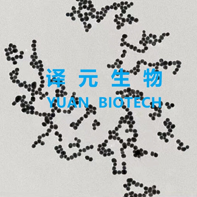 金纳米颗粒，胶体金纳米溶液