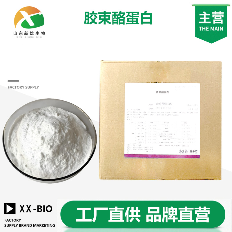 胶束酪蛋白生产厂家