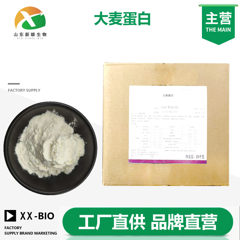 大麦蛋白生产厂家