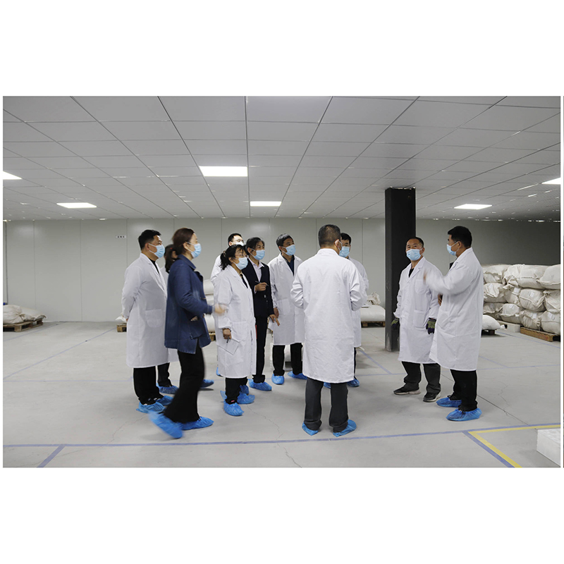 刺五加皂苷生产厂家