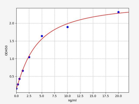 人钙激活中性蛋白酶1(CAPN1)ELISA试剂盒 YB72256Hu