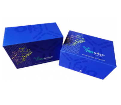 人染色质区解旋酶DNA结合蛋白5(CHD5)ELISA试剂盒 YB72415Hu