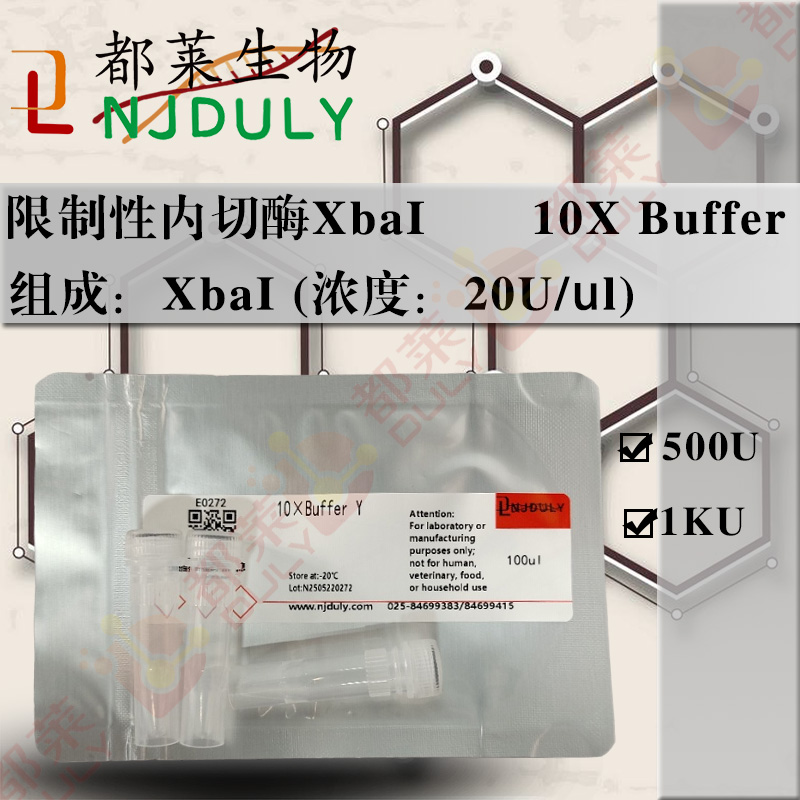 限制性内切酶XbaI