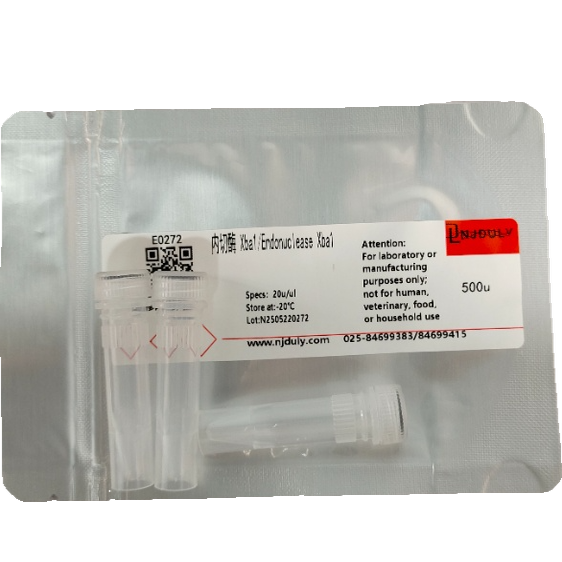 限制性内切酶XbaI