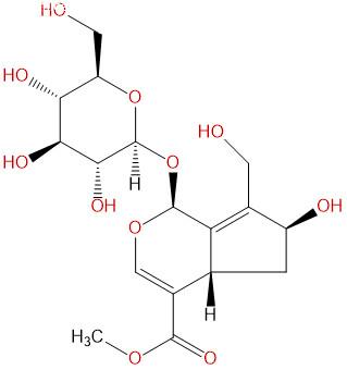 10-羟基大车前草苷，10-hydroxy majoroside，259753-12-3