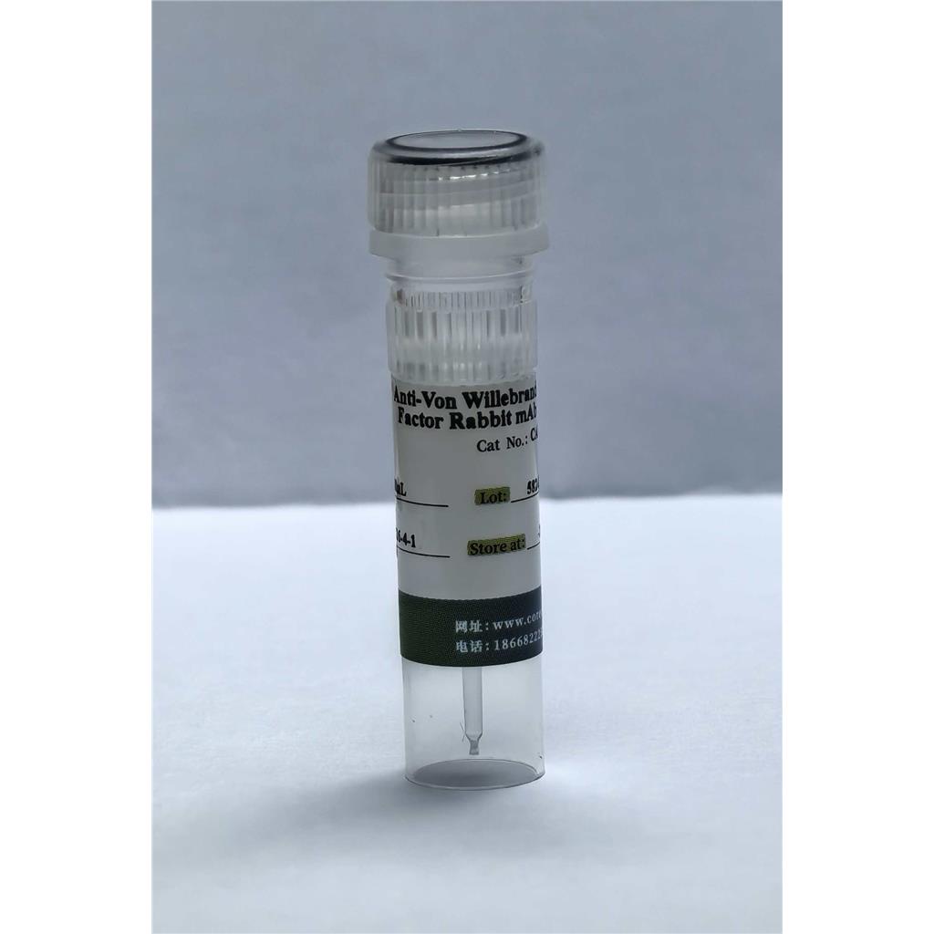 （内皮标志物抗体）Anti-Von Willebrand Factor Rabbit mAb