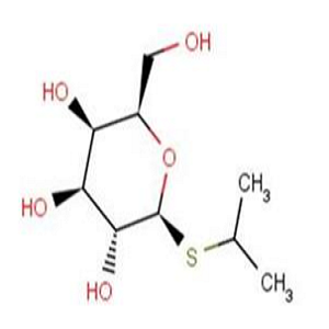 HRP-SH，巯基修饰的辣根过氧化物酶