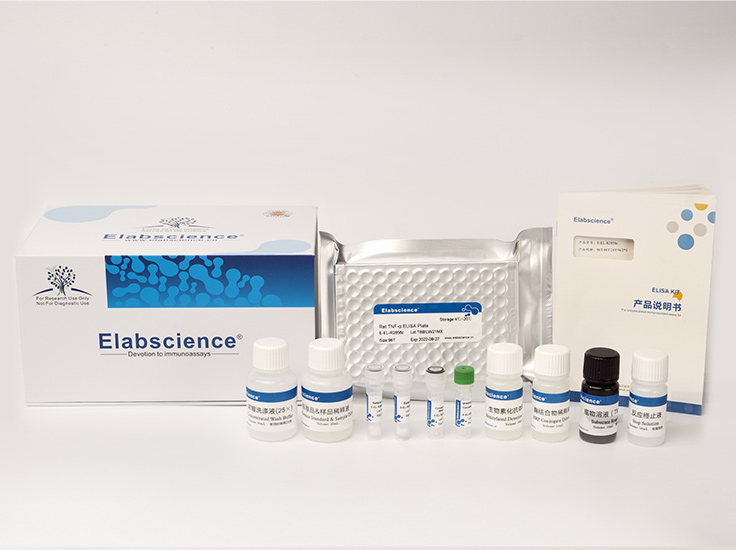 Elabscience γ-氨基丁酸（GABA）比色法测试盒-E-BC-K852-M