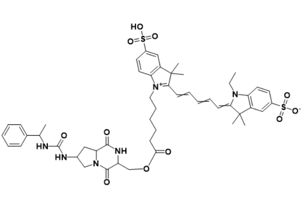 CY5-硫酸鱼精蛋白/CY5-protamine sulfate/Protamine Sulfate-Cyanine5 conjugate/近红外荧光标记阳离子多肽探针