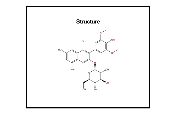 BP0918 7228-78-6氯化锦葵色素-3-葡糖苷