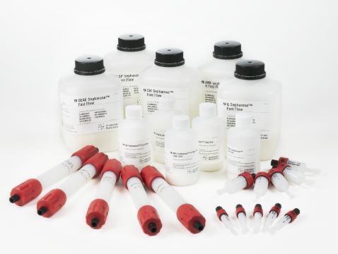 HiPrep Q FF 16/10 预装离子交换层析柱