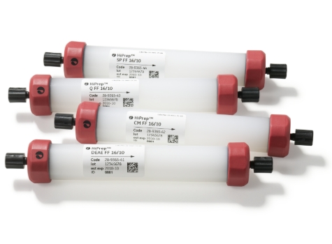 HiPrep Q HP 16/10 预装强阴离子交换层析柱