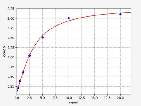 人柠檬酸合成酶(CS)ELISA试剂盒 YB72545Hu
