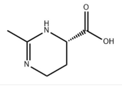 依克多因-一个天然有效的化妆品活性成分