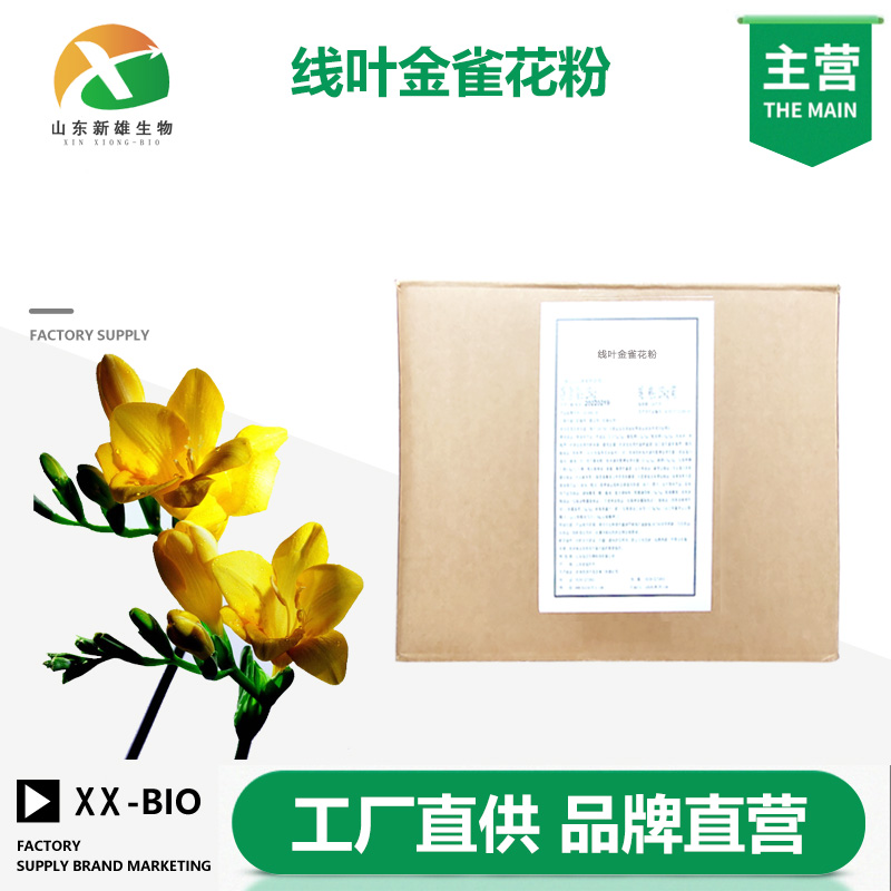 线叶金雀花粉生产厂家
