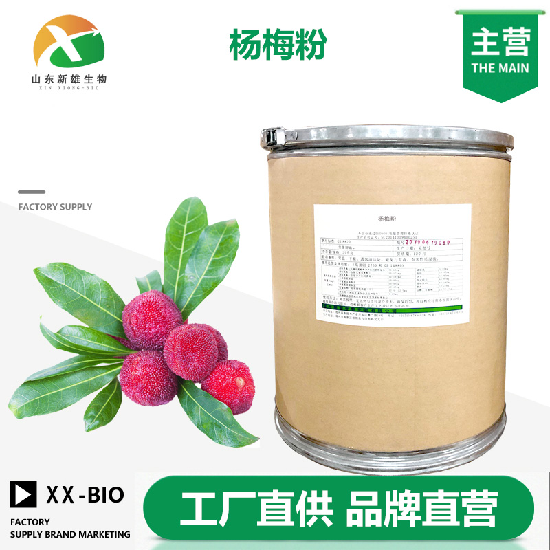 杨梅粉生产厂家
