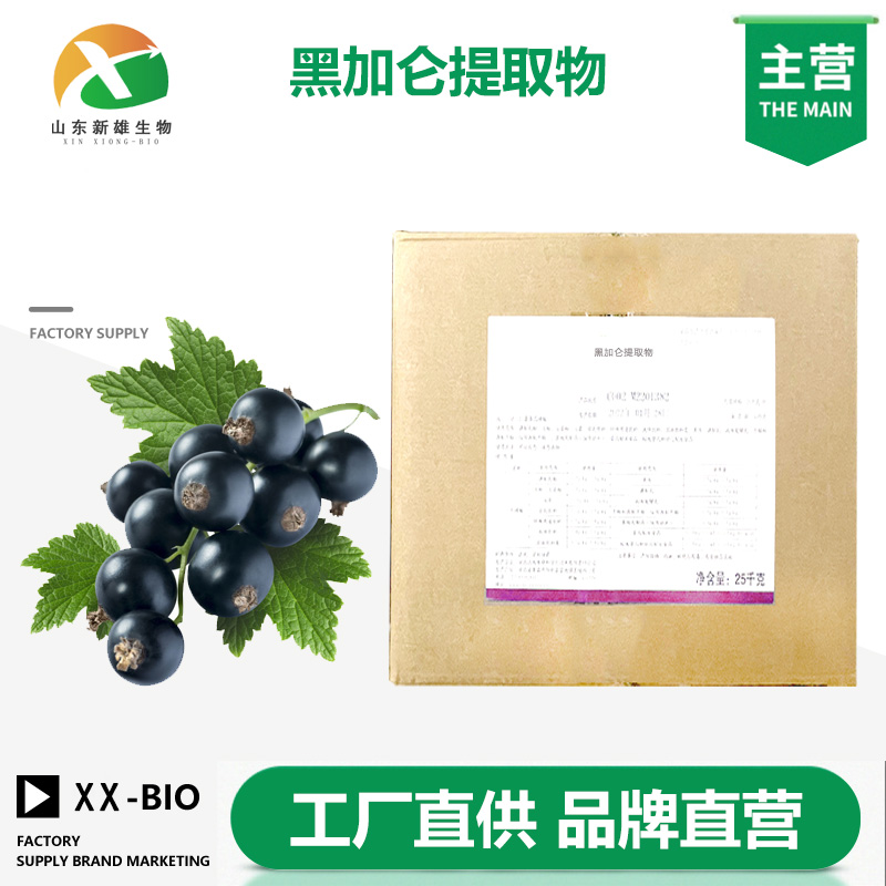 黑加仑提取物生产厂家