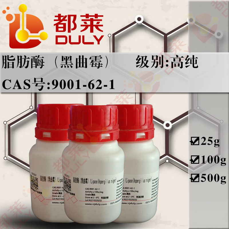 脂肪酶（黑曲霉）