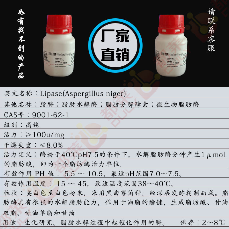 脂肪酶（黑曲霉）