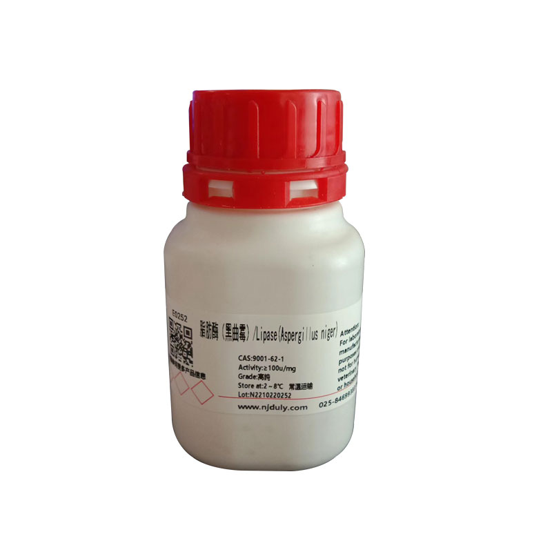 脂肪酶（黑曲霉）