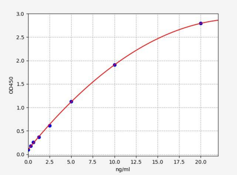 人中性粒细胞弹性蛋白酶(NE)ELISA试剂盒 YB72564Hu