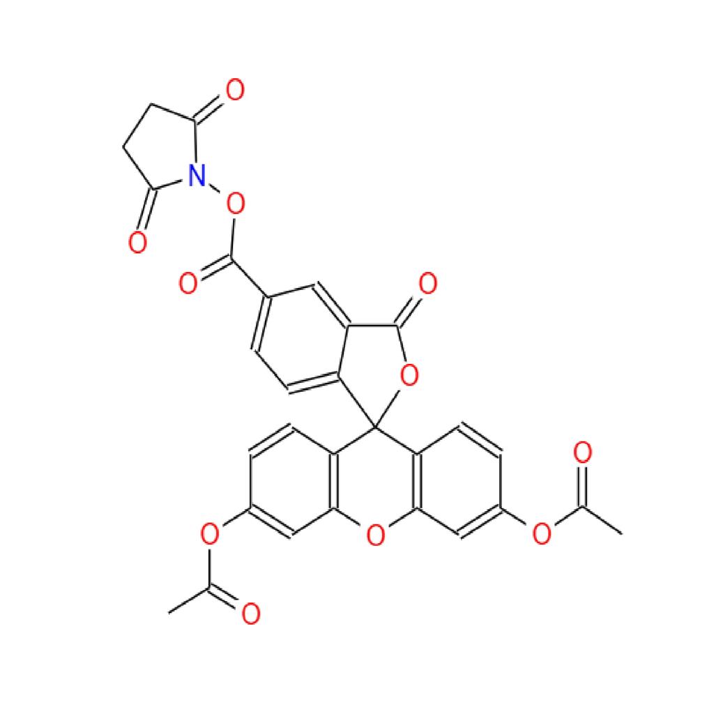 细胞增殖示踪荧光探针(CFDASE)