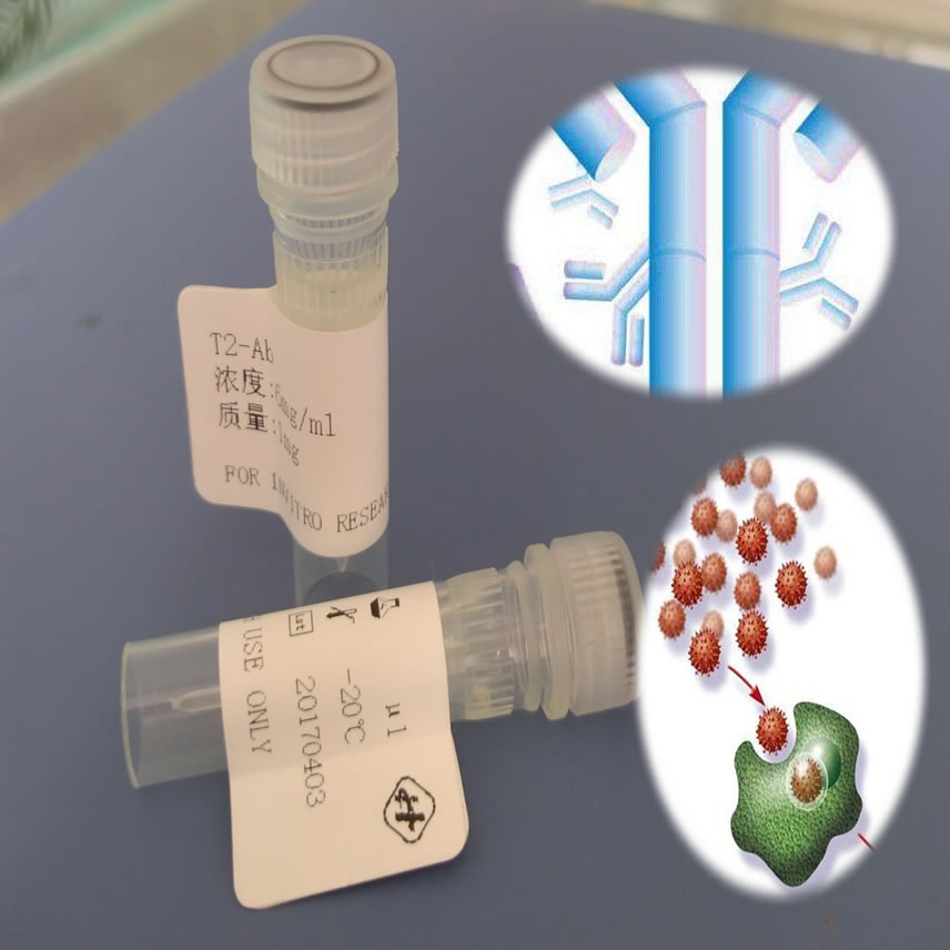 鼠抗磺胺类单克隆抗体/磺胺类抗原