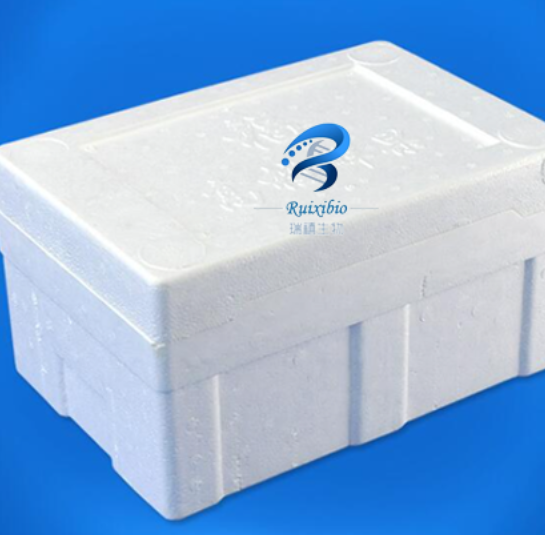 DSPE-PEG-NB，二硬脂酰磷脂酰乙醇胺-PEG-羰基化环丁烯