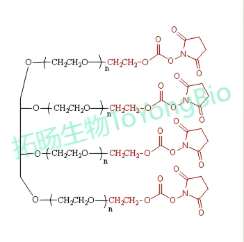 四臂聚乙二醇活性酯  4Arm PEG-NHS