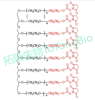 八臂聚乙二醇活性酯  8Arm PEG-NHS