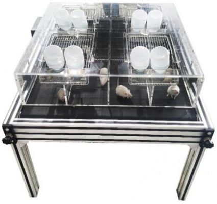 转轮式睡眠剥夺仪；无损伤睡眠剥夺仪