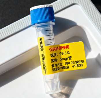 多肽肽库/多肽阵列芯片筛选/多肽靶向肽筛选/蛋白互作方案设计