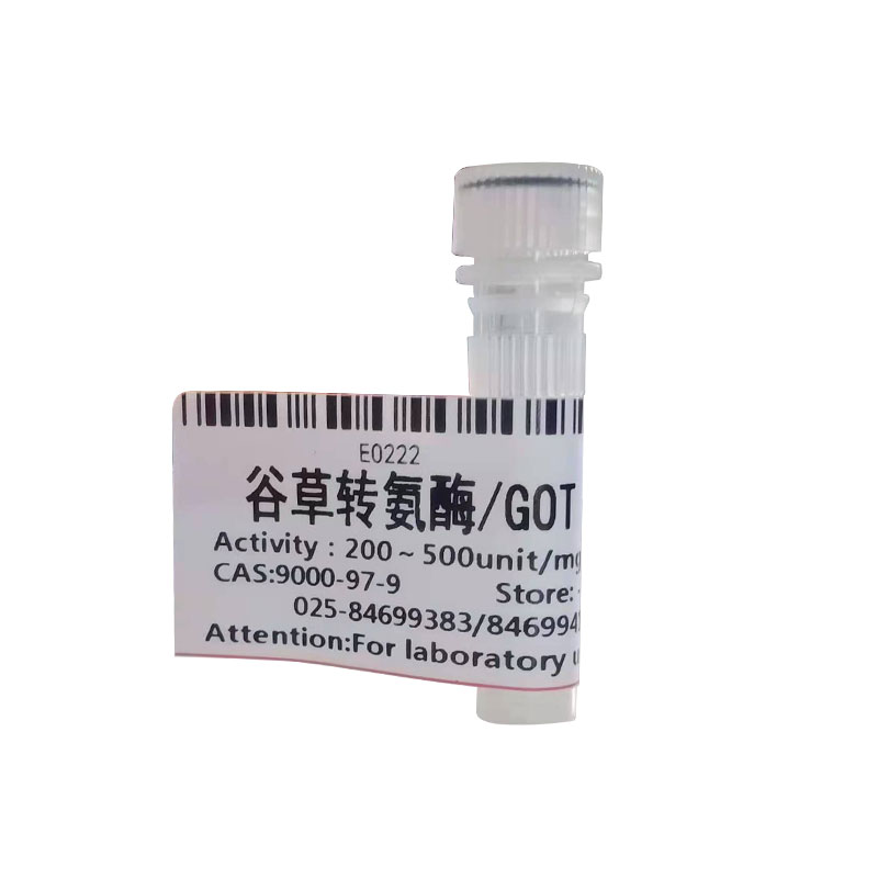 谷草转氨酶