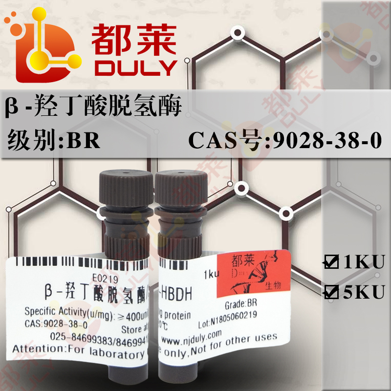 β-羟丁酸脱氢酶