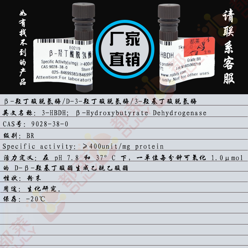 β-羟丁酸脱氢酶