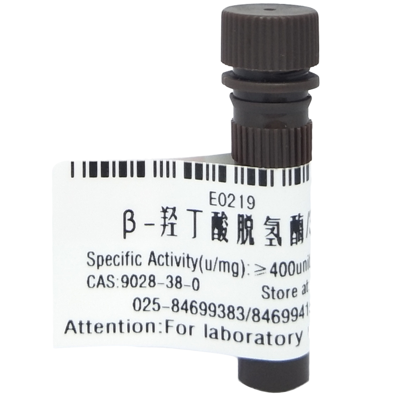 β-羟丁酸脱氢酶