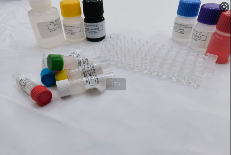 兔成纤维细胞生长因子23（FGF-23）elisa试剂盒