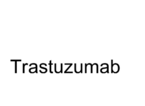 Trastuzumab (anti-HER2) 曲妥珠单抗 180288-69-1