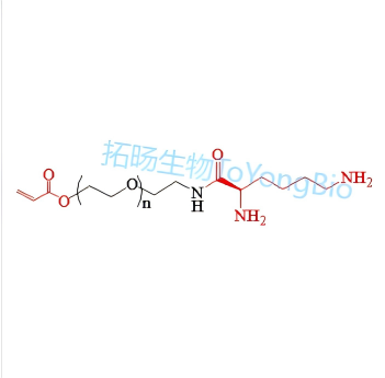 丙烯酸酯聚乙二醇赖氨酸;赖氨酸聚乙二醇丙烯酸酯