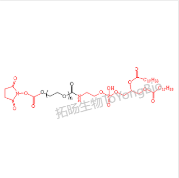 二油酰磷脂酰乙醇胺聚乙二醇活性酯 活性酯聚乙二醇二油酰磷脂酰乙醇胺 DOPE-PEG-NHS NHS-PEG-DOPE